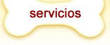 servicios